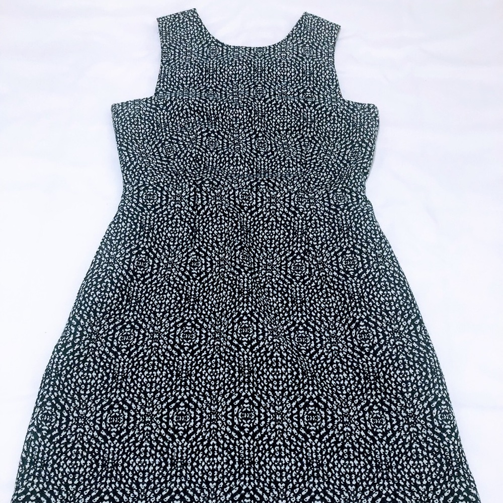 H&M Navy & White Dress